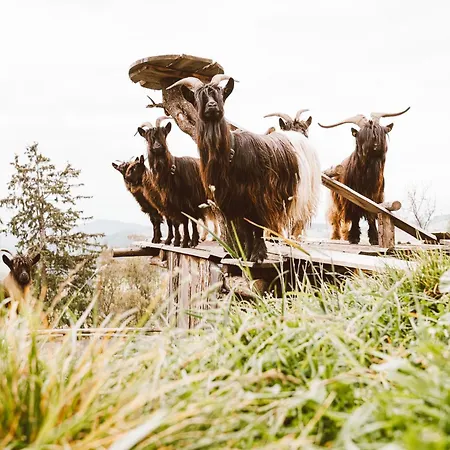 펜션 Almhaus Rinner *