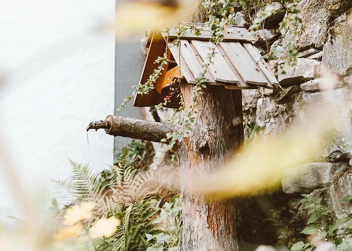 Semesterbostad Almhaus Rinner *