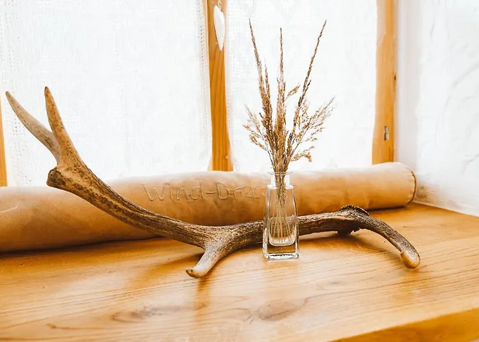 Semesterbostad Almhaus Rinner *