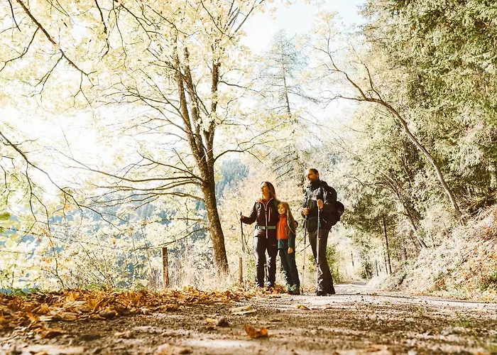 Semesterbostad Almhaus Rinner Greith (Murtal)